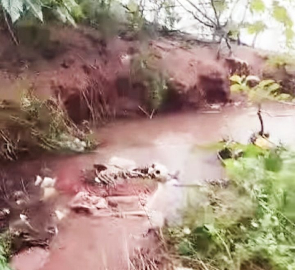 Cadaver é encontrado na lagoa em  Ibiassucê — imagem 2